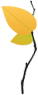 Marker